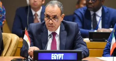وزير-الخارجية-د-بدر-عبد-العاطى