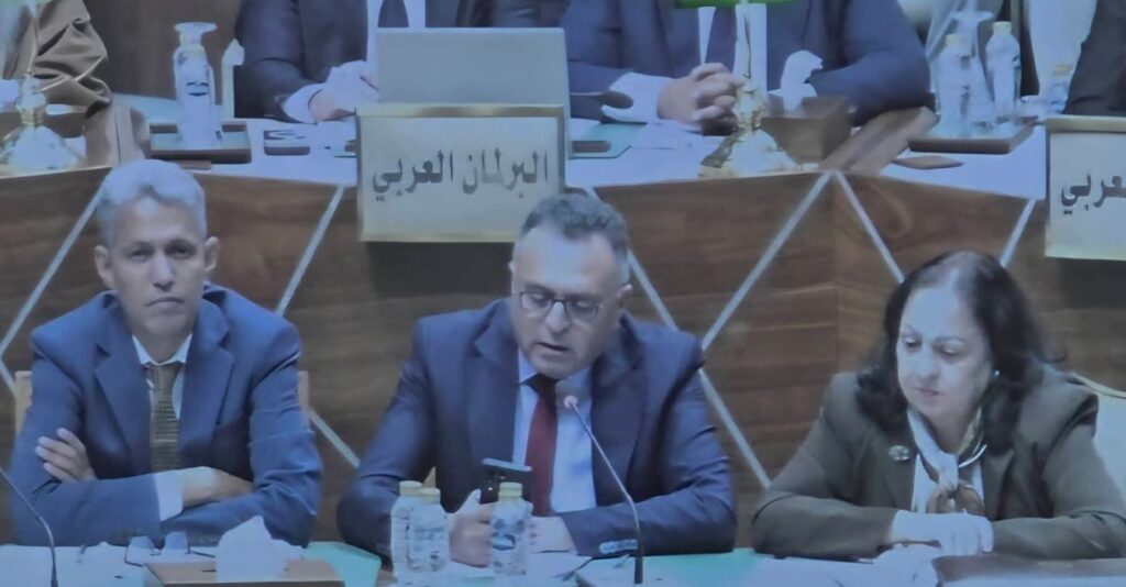 أبو بكر: تفويض السيسي لدعم السعودية يعزز التضامن العربي
