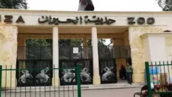 موعد افتتاح حديقة الحيوان بالجيزة.. مفاجآت كبرى في انتظار الزوار بعد التطوير